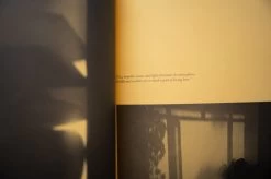 The Modern House - Magazine No.4 11 The Modern House - Magazine No.4 -Furniture & Decoration Shop 004 Shop5