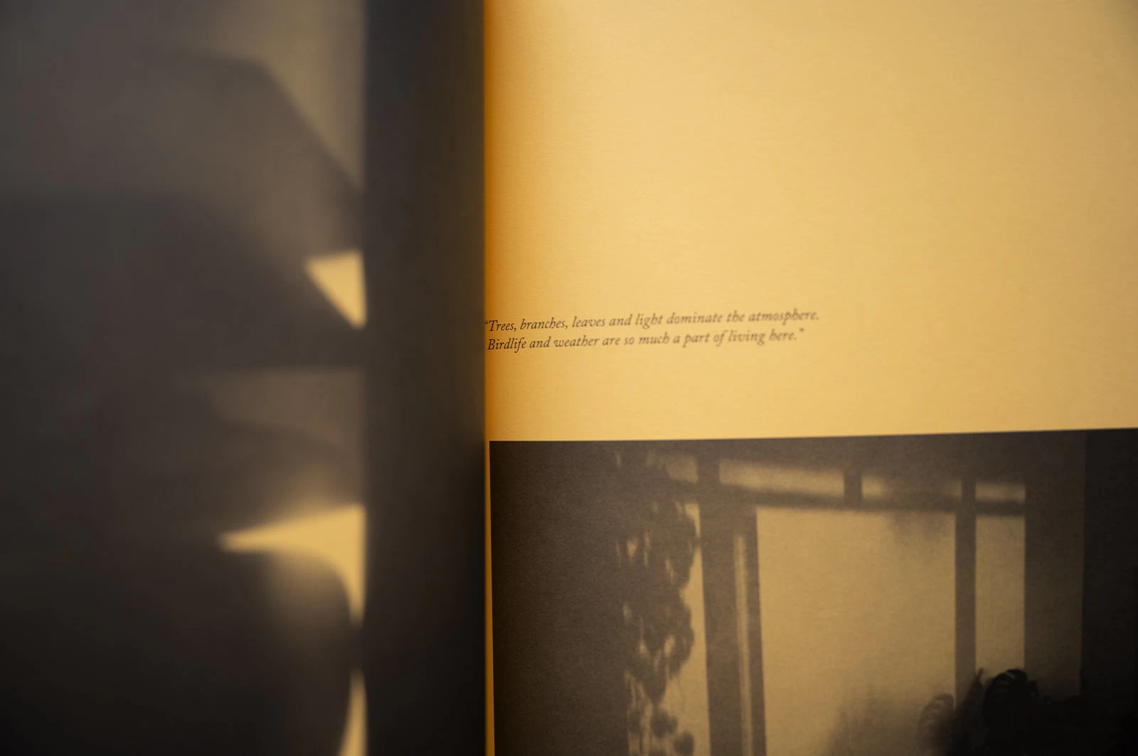 The Modern House - Magazine No.4 5 The Modern House - Magazine No.4 - Image 3