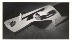 Vitra Girard Bird -Furniture & Decoration Shop 54810193