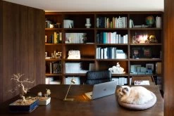 Aude Table Light -Furniture & Decoration Shop Aude Table brass DB web