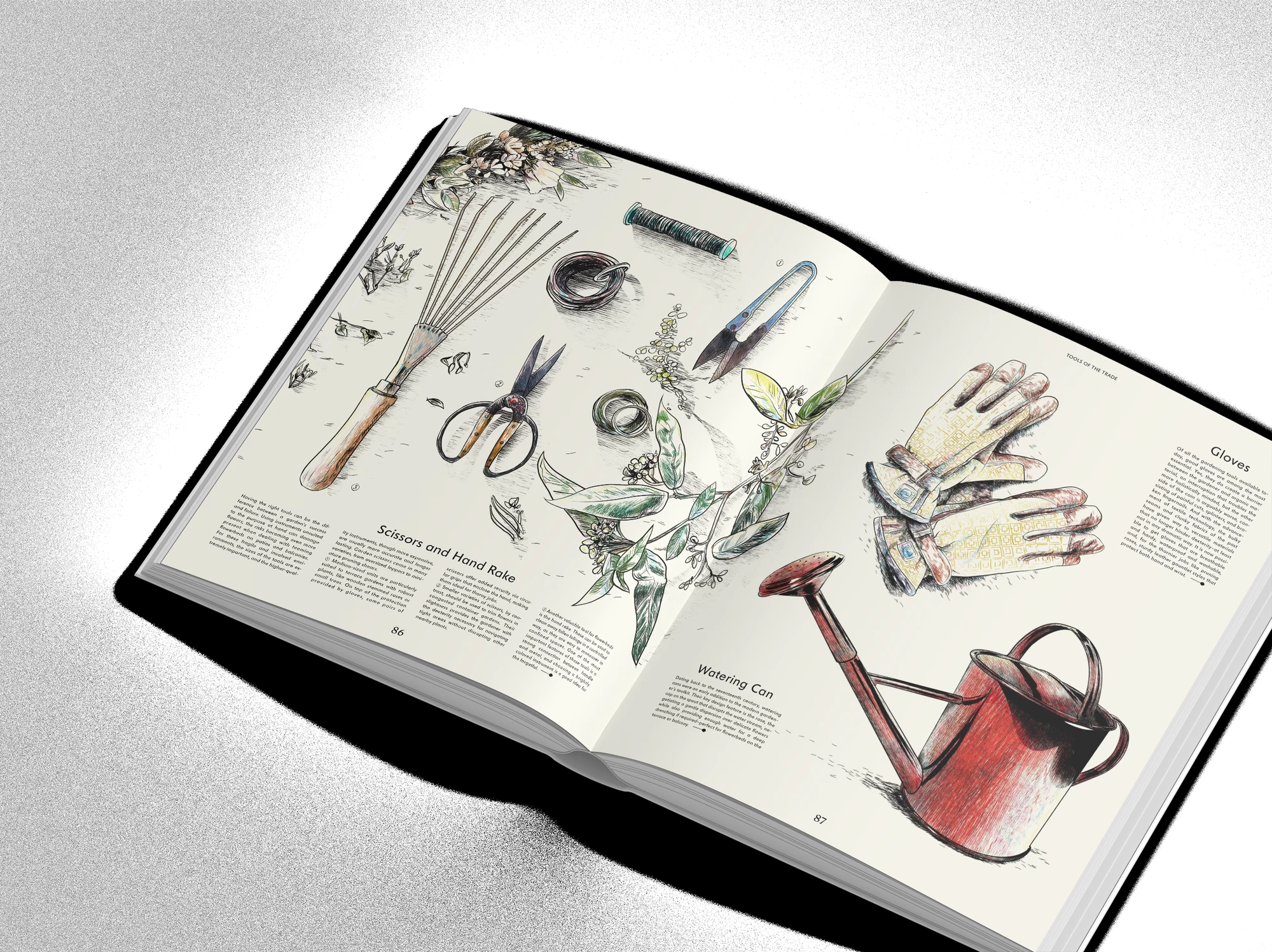 Evergreen 6 Evergreen - Image 4