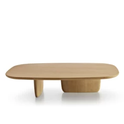 Tobi-Ishi Coffee Table