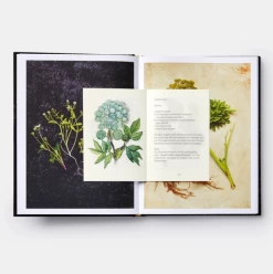 Slippurinn: Recipes And Stories From Iceland 14 Slippurinn: Recipes And Stories From Iceland -Furniture & Decoration Shop ScreenShot2022 01 21at3.36.09PM