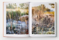 Wild: The Naturalistic Garden: Noel Kingsbury With Photography By Claire Takacs -Furniture & Decoration Shop ScreenShot2022 04 22at10.08.36AM