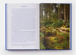 Design Emergency: Building A Better Future -Furniture & Decoration Shop ScreenShot2022 06 15at12.57.00PM