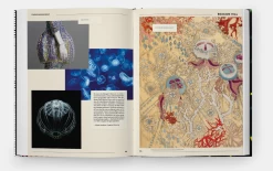 Patterns, Inside The Design Library : Peter Koepke -Furniture & Decoration Shop ScreenShot2022 10 05at2.27.25PM