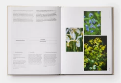 The Seasonal Gardener: Creative Planting Combinations -Furniture & Decoration Shop ScreenShot2022 12 06at5.16.51PM