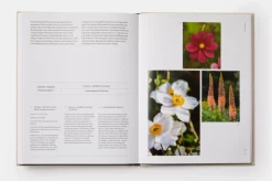 The Seasonal Gardener: Creative Planting Combinations -Furniture & Decoration Shop ScreenShot2022 12 06at5.17.23PM