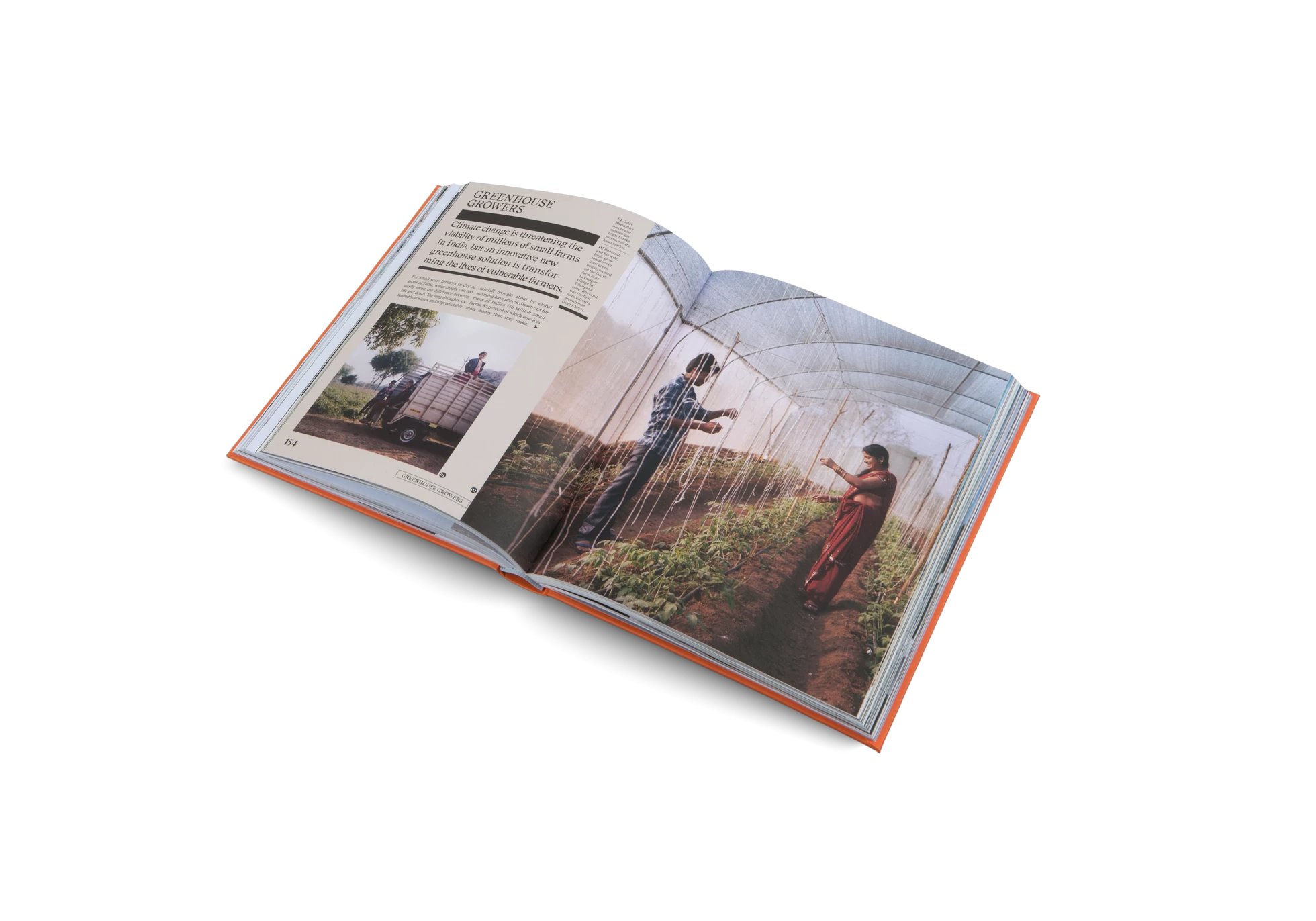 The New Traditional 8 The New Traditional - Image 6