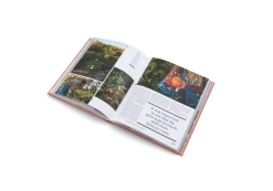 The New Traditional 16 The New Traditional -Furniture & Decoration Shop TheNewTraditional inside06 2000x 50706833 b877 4a8b acb5 380bd08dfe5a