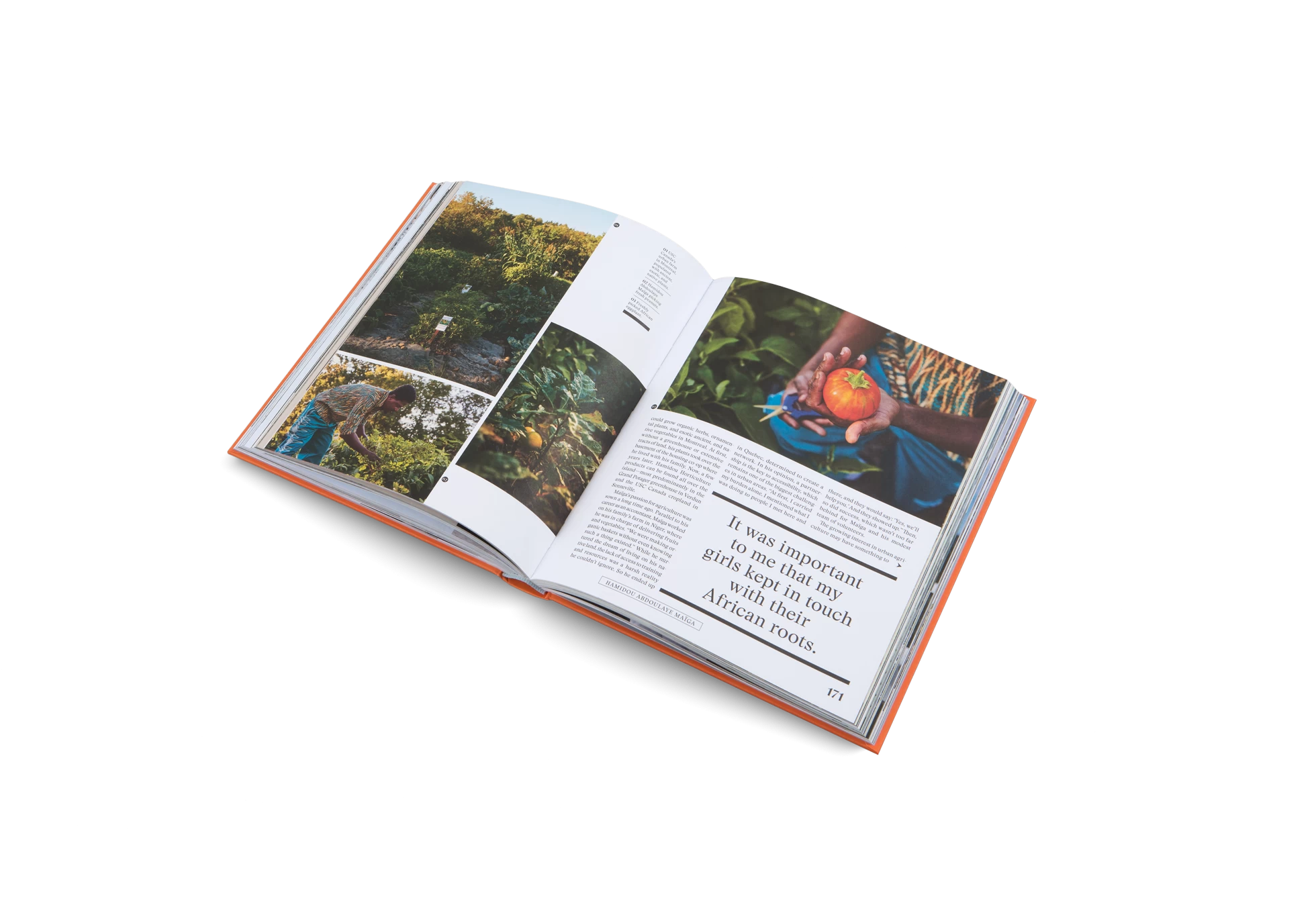 The New Traditional 9 The New Traditional - Image 7