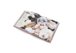 The New Traditional 17 The New Traditional -Furniture & Decoration Shop TheNewTraditional inside07 2000x 6eb30358 b285 45e6 836f cf1906074ddd