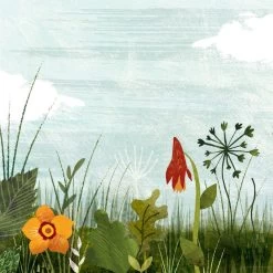 Chronicle Books Because Of An Acorn -Furniture & Decoration Shop content 1