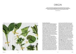 F Magazine - Issue No.16 Namul 14 F Magazine - Issue No.16 Namul -Furniture & Decoration Shop downloadable namul 02