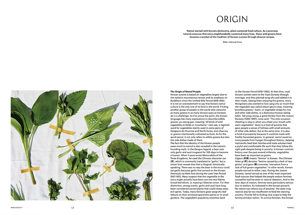 F Magazine - Issue No.16 Namul 5 F Magazine - Issue No.16 Namul - Image 3