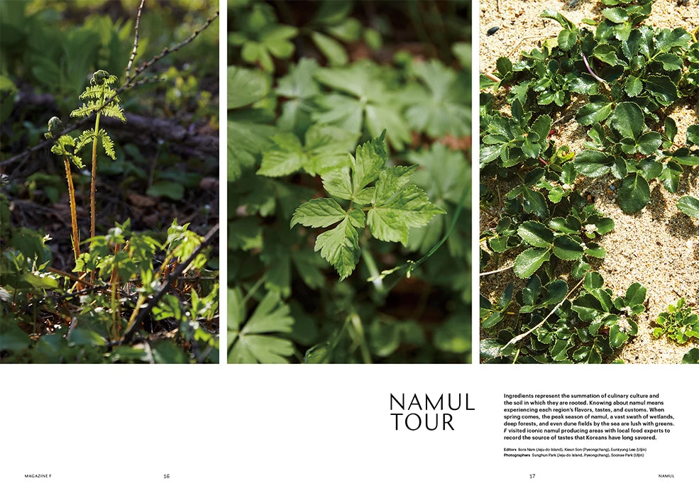 F Magazine - Issue No.16 Namul 6 F Magazine - Issue No.16 Namul - Image 4