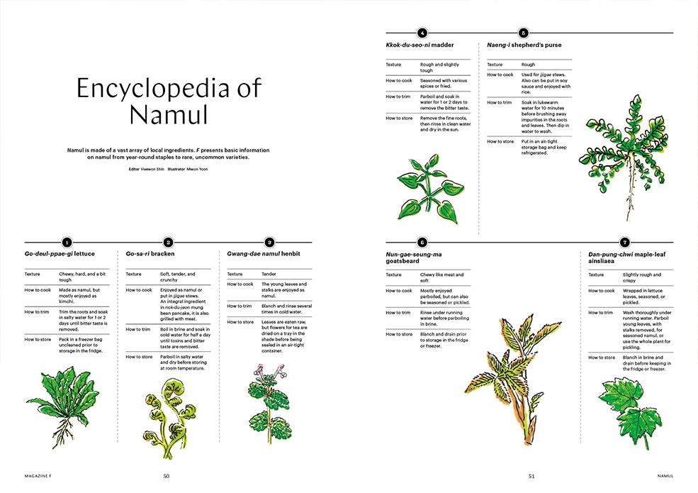F Magazine - Issue No.16 Namul 7 F Magazine - Issue No.16 Namul - Image 5
