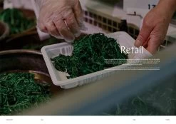 F Magazine - Issue No.16 Namul 21 F Magazine - Issue No.16 Namul -Furniture & Decoration Shop downloadable namul 09