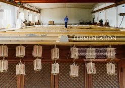 F Magazine - Issue No.11 Bean 17 F Magazine - Issue No.11 Bean -Furniture & Decoration Shop downloadable bean 04