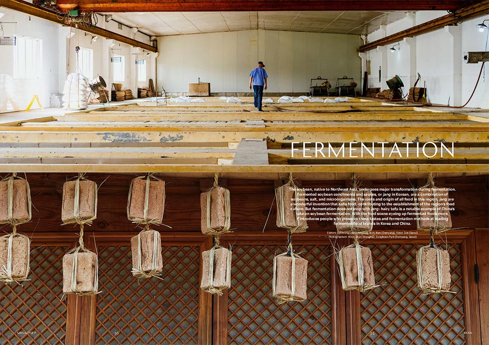 F Magazine - Issue No.11 Bean 7 F Magazine - Issue No.11 Bean - Image 5