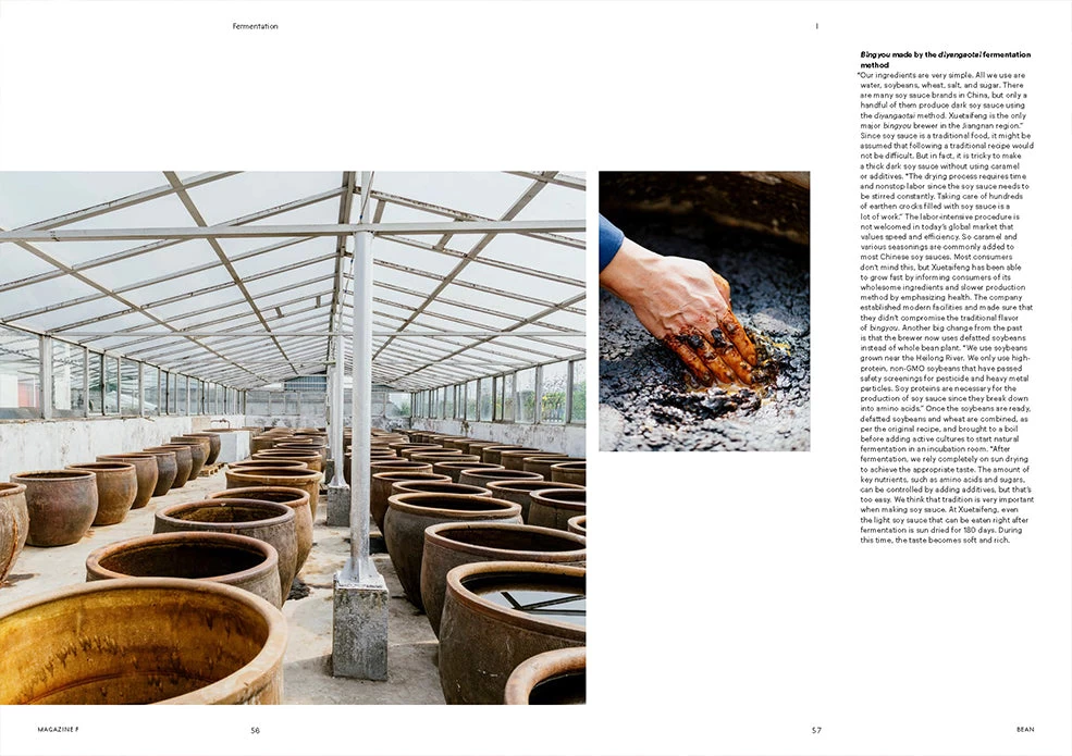 F Magazine - Issue No.11 Bean 8 F Magazine - Issue No.11 Bean - Image 6