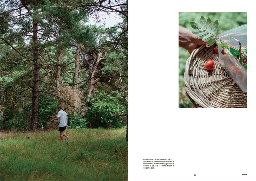 F Magazine - Issue No.10 Berry 7 F Magazine - Issue No.10 Berry - Image 5