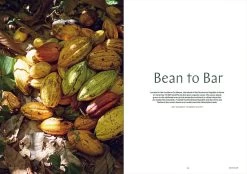 F Magazine - Issue No.6 Chocolate -Furniture & Decoration Shop downloadable chocolate 01