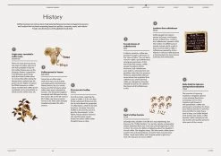 F Magazine - Issue No.18 Coffee -Furniture & Decoration Shop downloadable coffee 04en