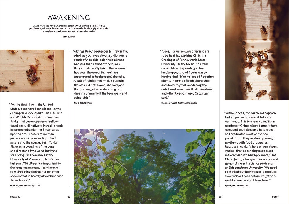 F Magazine - Issue No.8 Honey 4 F Magazine - Issue No.8 Honey - Image 2