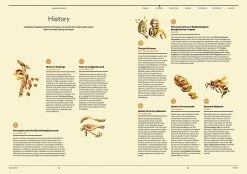 F Magazine - Issue No.8 Honey 18 F Magazine - Issue No.8 Honey -Furniture & Decoration Shop downloadable honey 05