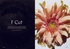 F Magazine - Issue No.8 Honey 20 F Magazine - Issue No.8 Honey -Furniture & Decoration Shop downloadable honey 07