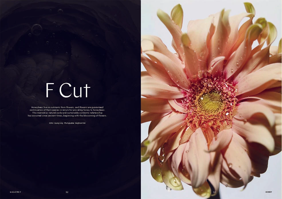 F Magazine - Issue No.8 Honey 10 F Magazine - Issue No.8 Honey - Image 8