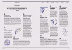 F Magazine - Issue No.5 Rice -Furniture & Decoration Shop downloadable rice 06