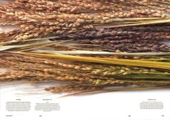 F Magazine - Issue No.5 Rice -Furniture & Decoration Shop downloadable rice 08