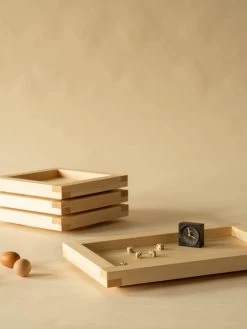 009 Tray -Furniture & Decoration Shop traysvarniinsitu